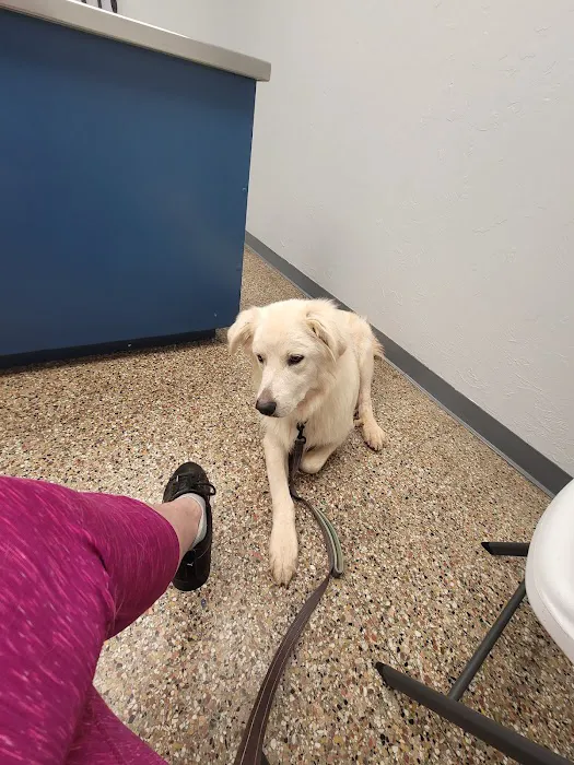 Midwest Veterinary Hospital Picture 7