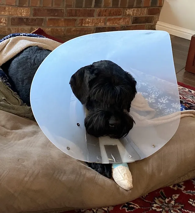 Midwest Veterinary Hospital Picture 10