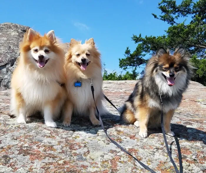 Tinker Veterinary Treatment Facility Picture 1