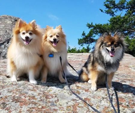 Tinker Veterinary Treatment Facility