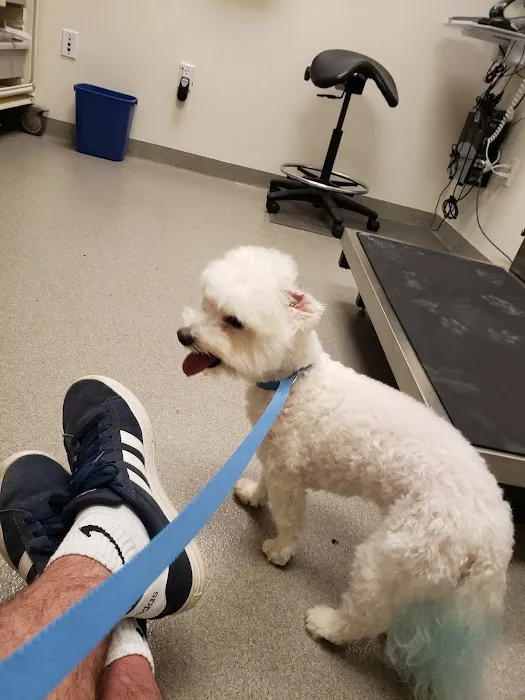 Tinker Veterinary Treatment Facility Picture 5