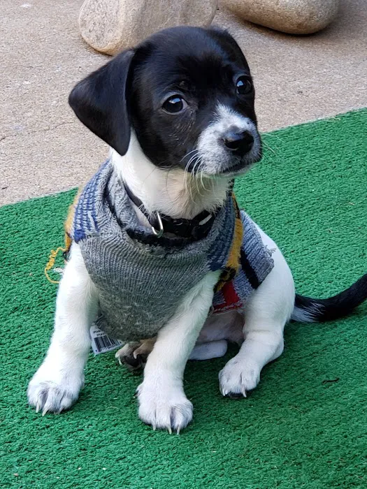 Tinker Veterinary Treatment Facility Picture 4