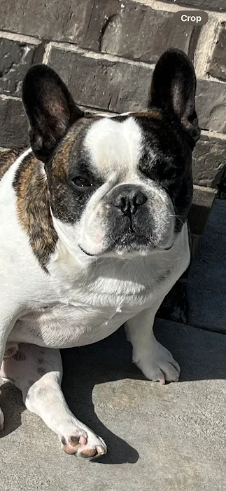 Tinker Veterinary Treatment Facility Picture 6