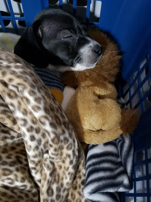 Tinker Veterinary Treatment Facility Picture 7