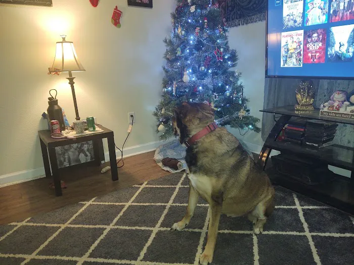 Air Depot Animal Hospital Picture 6