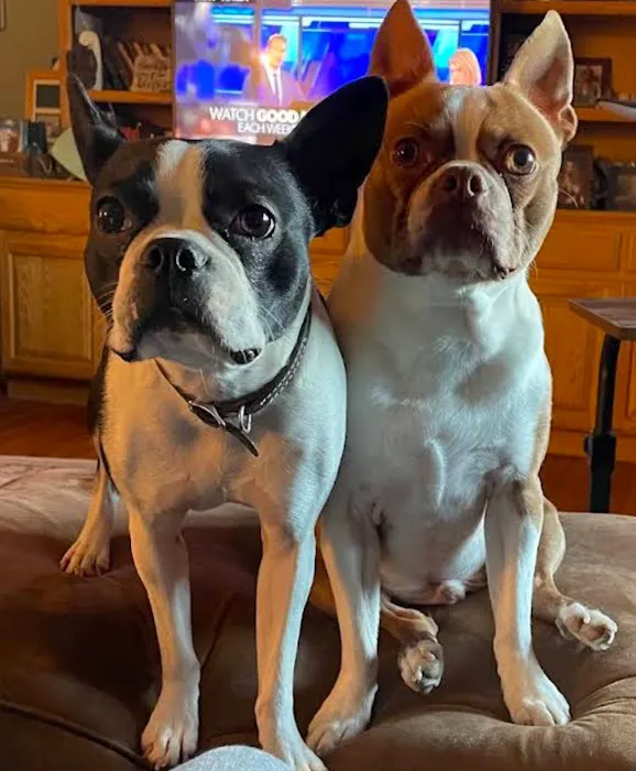 Air Depot Animal Hospital Picture 4