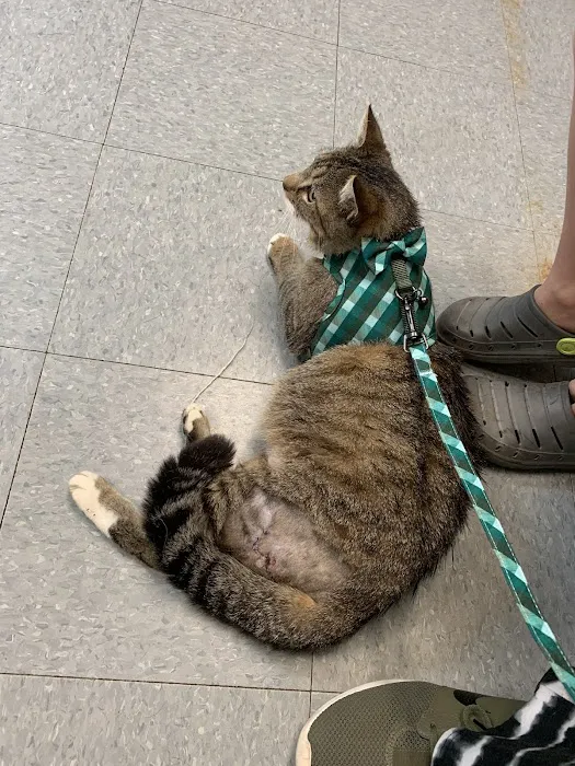 Air Depot Animal Hospital Picture 5