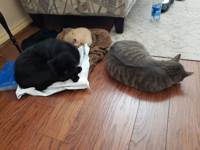 Air Depot Animal Hospital Picture 8