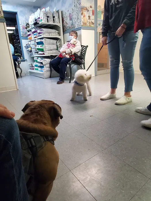 Air Depot Animal Hospital Picture 10