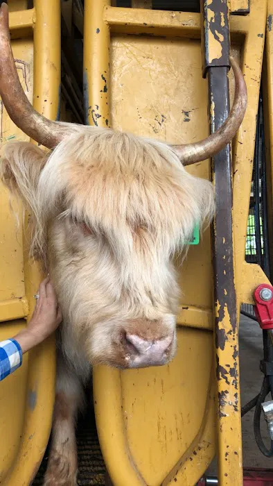 Cedar Creek Veterinary Clinic Picture 6