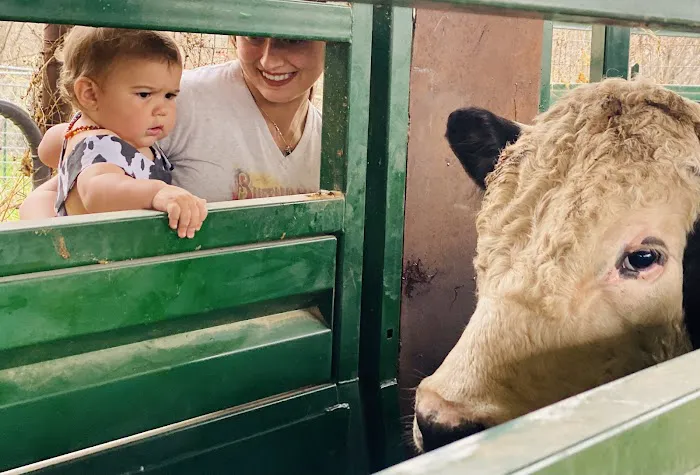 Cedar Creek Veterinary Clinic Picture 4