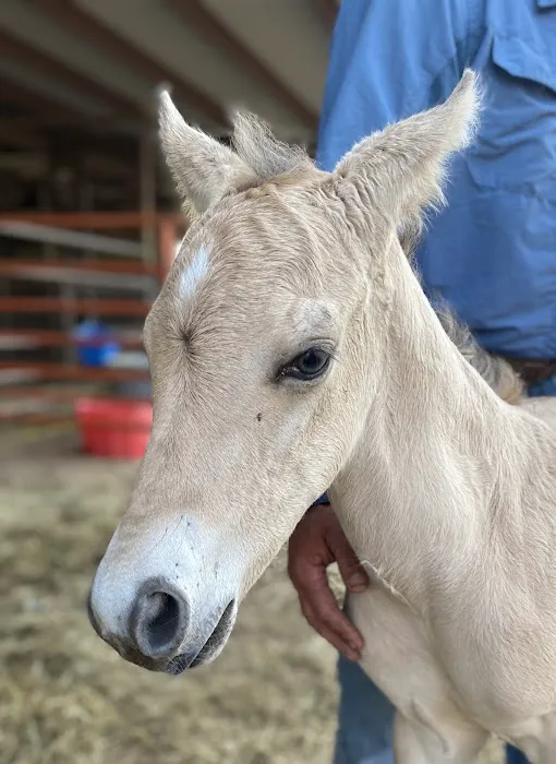 Cedar Creek Veterinary Clinic Picture 1