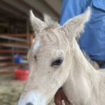 Cedar Creek Veterinary Clinic