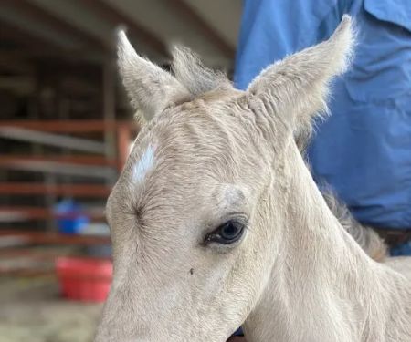 Cedar Creek Veterinary Clinic