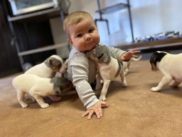 Cedar Creek Veterinary Clinic Picture 2