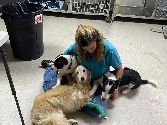 Cedar Creek Veterinary Clinic Picture 5