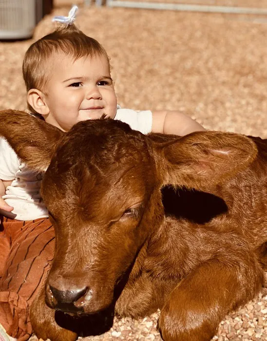 Cedar Creek Veterinary Clinic Picture 9