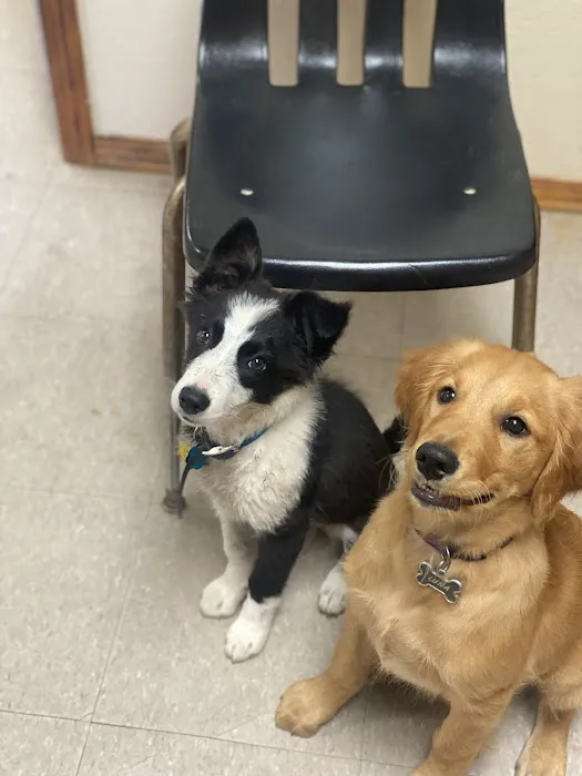 Cedar Creek Veterinary Clinic Picture 8