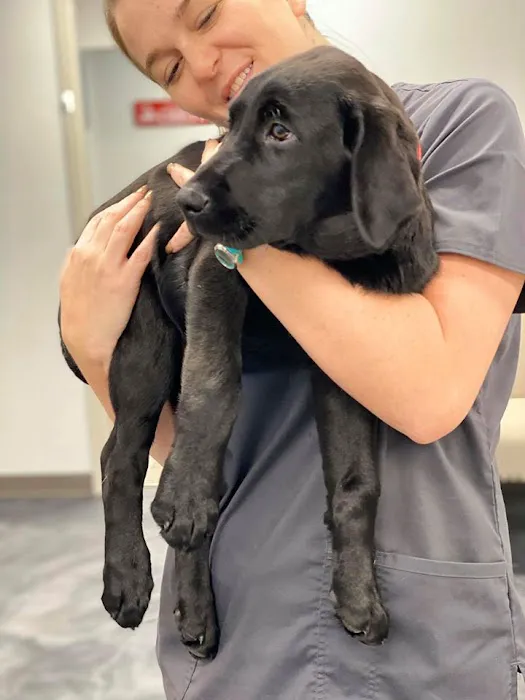 Sooner Veterinary Hospital Picture 2