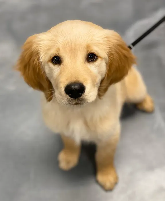 Sooner Veterinary Hospital Picture 4