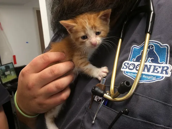 Sooner Veterinary Hospital Picture 9