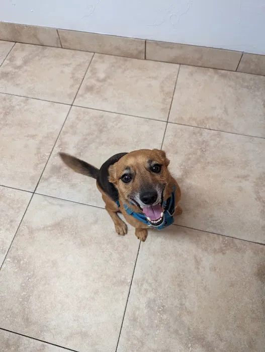 Alameda Animal Hospital Picture 3