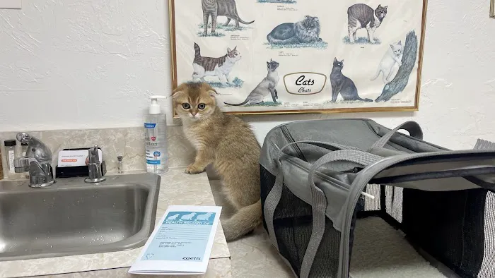 Alameda Animal Hospital Picture 4