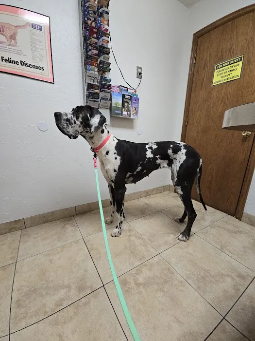 Alameda Animal Hospital Picture 1