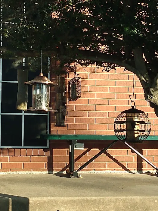 Alameda Animal Hospital Picture 5