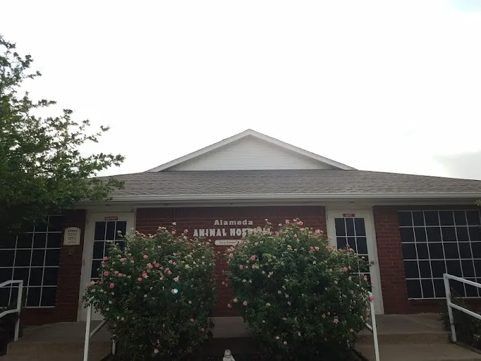 Alameda Animal Hospital Picture 7