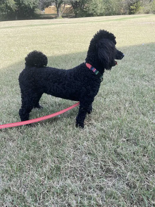 Alameda Animal Hospital Picture 6