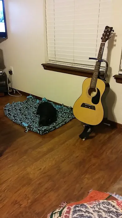 Alameda Animal Hospital Picture 10