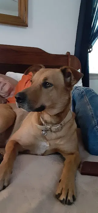 Alameda Animal Hospital: Eskew Gary DVM Picture 3