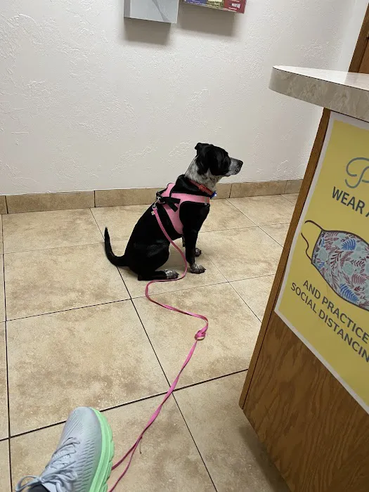 Alameda Animal Hospital: Eskew Gary DVM Picture 1