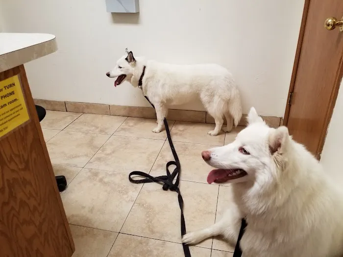 Alameda Animal Hospital: Eskew Gary DVM Picture 5