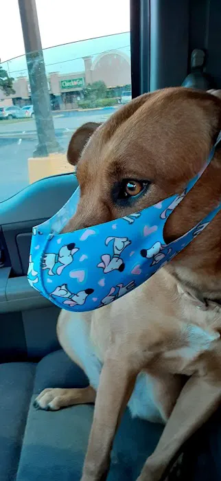 Alameda Animal Hospital: Eskew Gary DVM Picture 9