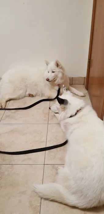 Alameda Animal Hospital: Eskew Gary DVM Picture 6