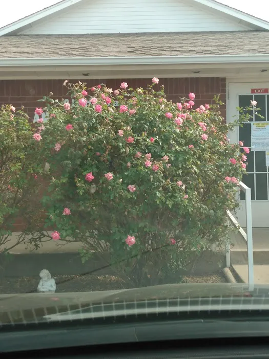 Alameda Animal Hospital: Eskew Gary DVM Picture 10