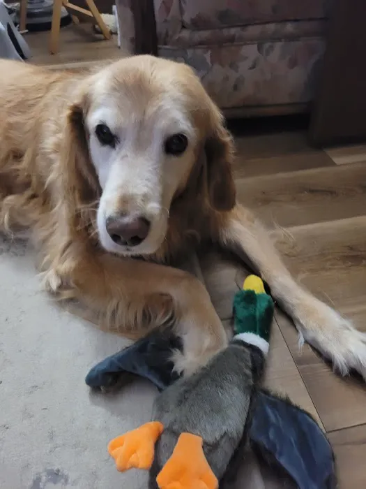 Noble Animal Clinic Picture 2