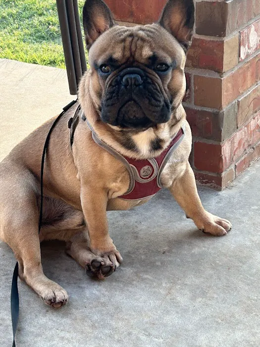 Noble Animal Clinic Picture 5