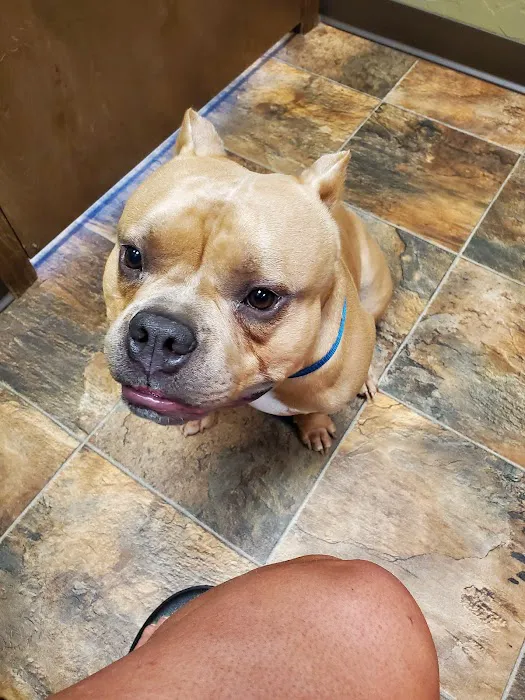 Noble Animal Clinic Picture 6