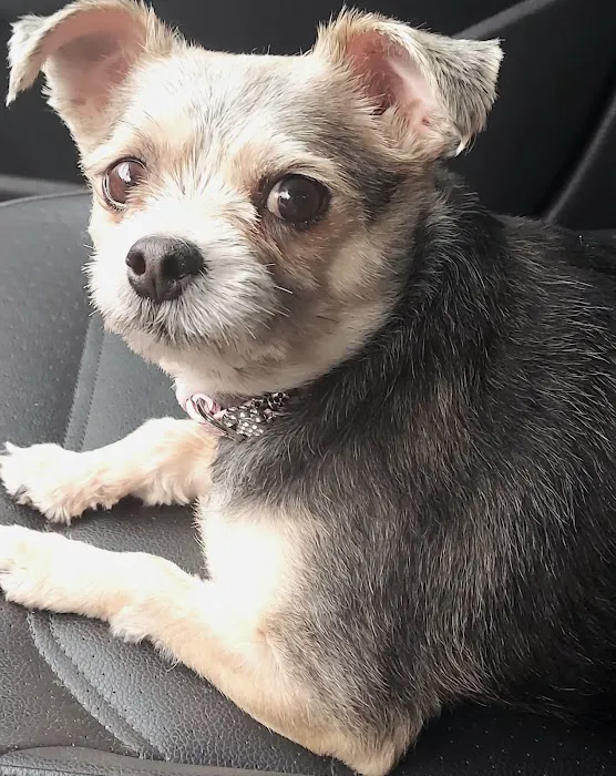 Noble Animal Clinic Picture 7