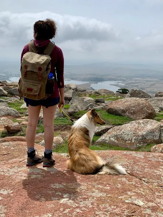 Noble Animal Clinic Picture 8