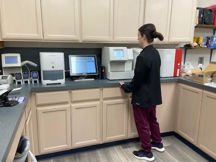 University Animal Hospital Picture 1