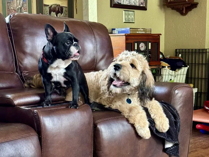 University Animal Hospital Picture 7