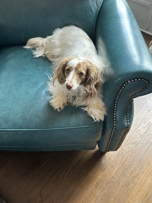 University Animal Hospital Picture 6