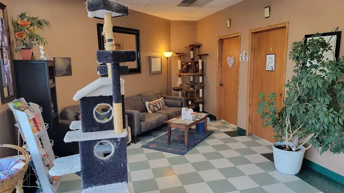 Cat Clinic of Norman Picture 1