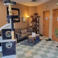 Cat Clinic of Norman ico