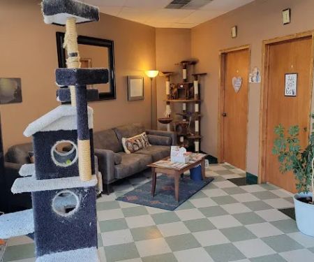 Cat Clinic of Norman