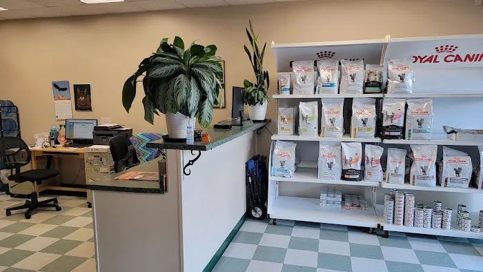 Cat Clinic of Norman Picture 3